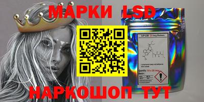 крисы Будённовск