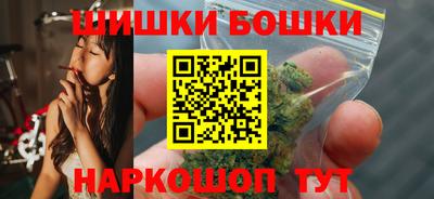 крисы Будённовск