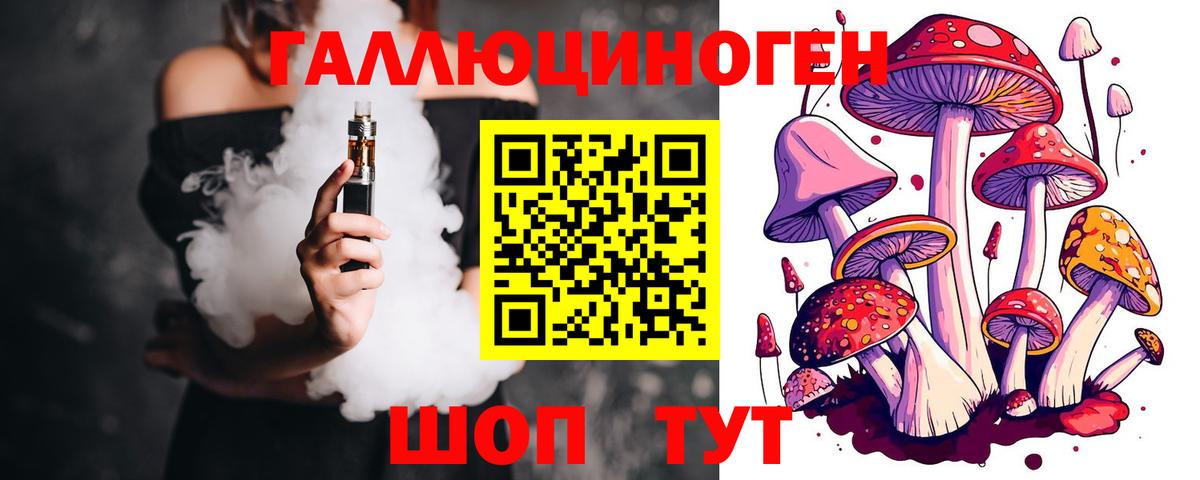 Новороссийск  Псилоцибиновые грибы MAGIC MUSHROOMS  Вход с VPN 